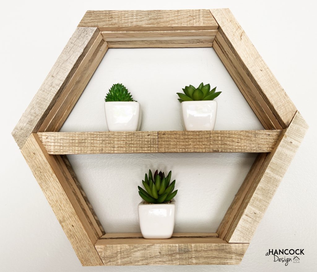 rustic hexagon plant shelf diy