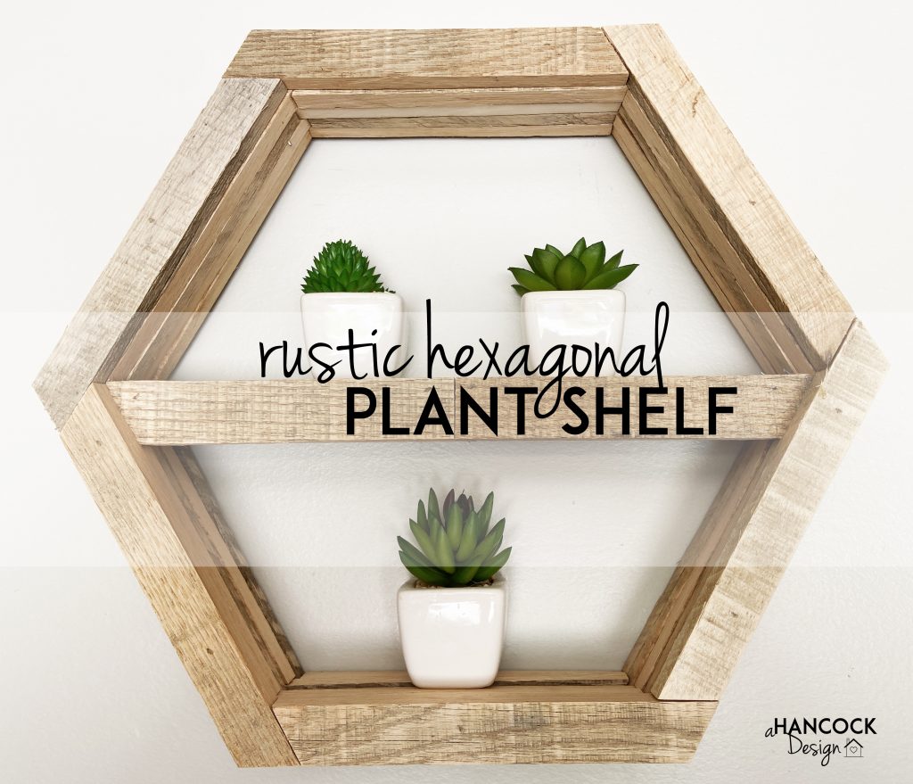 rustic hexagon plant shelf diy